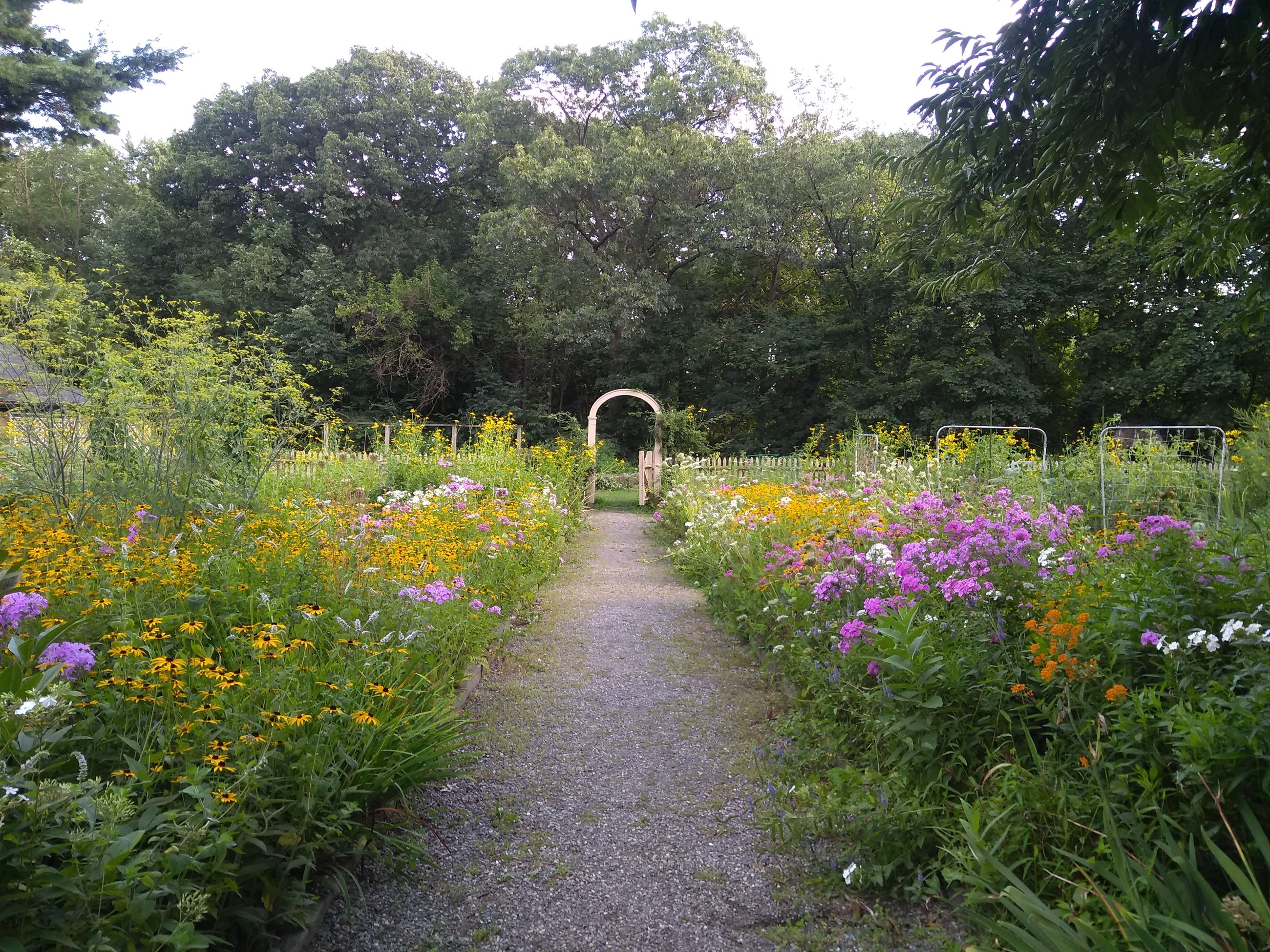 IMG_20210815_185323426