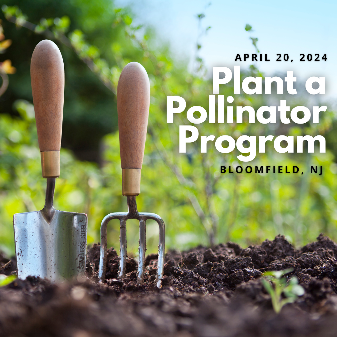 pollinator program icon