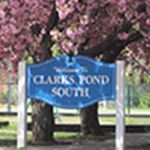 Park sign in front of a tree