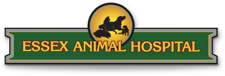 Essex Animal