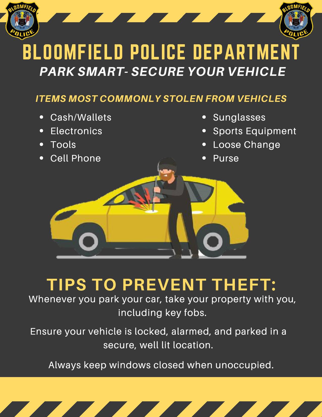 theft from auto flyer-page-001